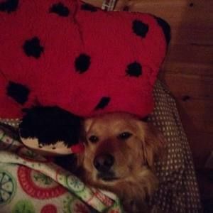 Meet your Posher, Elsie grace